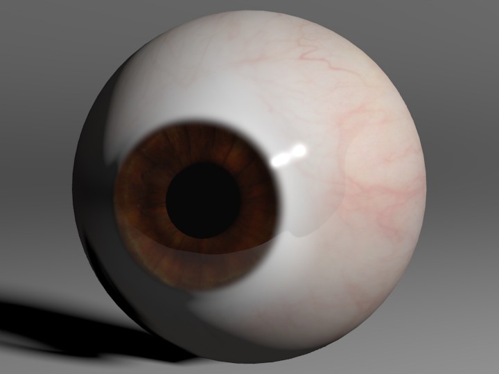 Realistic Human Eyeball (Brown) preview image 1
